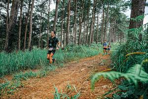 BIB: 
                            <button type="button" onclick="openModal(25691496)" class="btn btn-primary btn-sm float-right btn-popup" data-toggle="modal" data-target=".modal-high-quality">
                        <i class="fas fa-shopping-cart"></i> Add to Cart
                    </button>
                                            <button type="button" onclick="isThisMe(25691496, true)" class="btn btn-success btn-sm float-right btn-popup btn-isme hidden" data-toggle="tooltip" data-placement="bottom" title="นี่คือรูปของคุณใช่ไหม คลิกที่นี่เพื่อเอาเข้าอัลบั้ม">
                        <i class="fas fa-plus"></i> Add to album
                    </button>
                    <button type="button" onclick="isThisMe(25691496, false)" class="btn btn-warning btn-sm float-right btn-popup btn-isnotme hidden">
                        <i class="fas fa-ban"></i> Remove from album
                    </button>